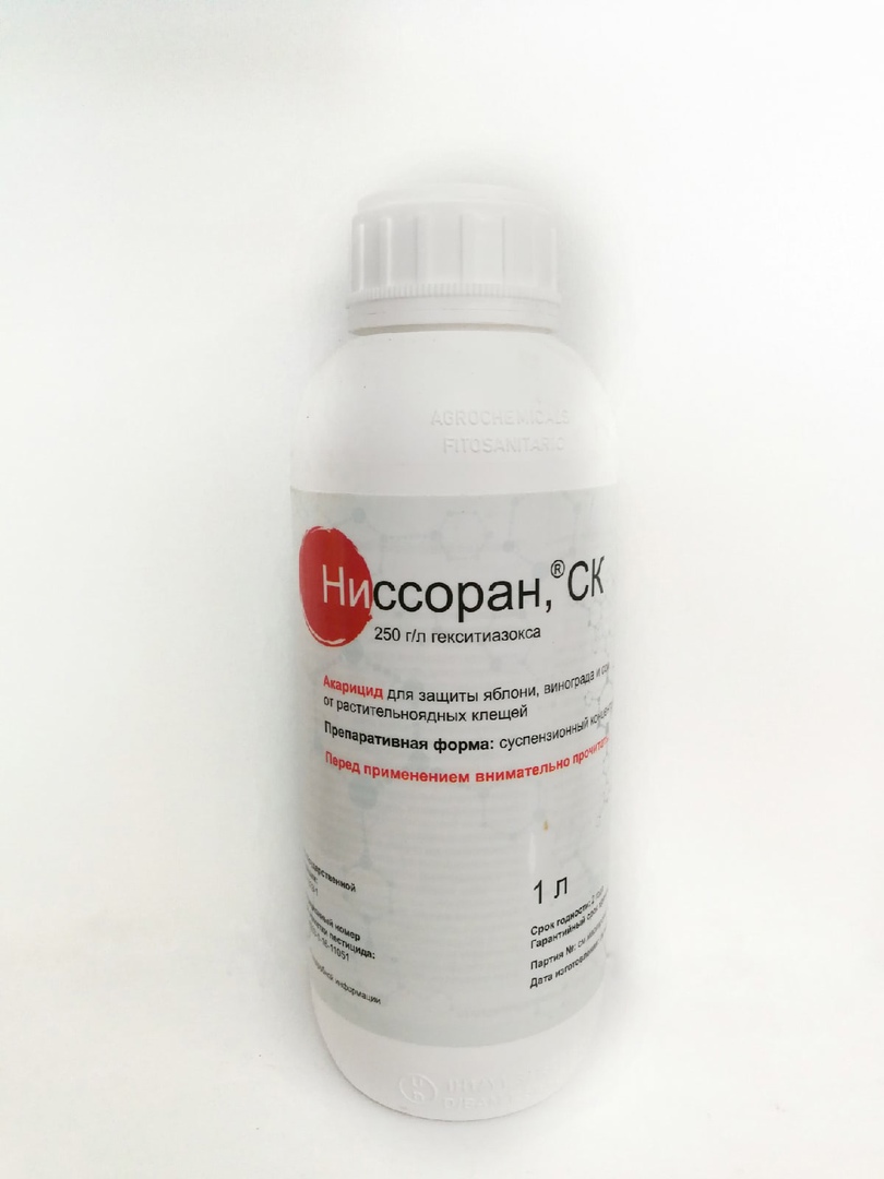 ниссоран Ниссоран — изображение 1