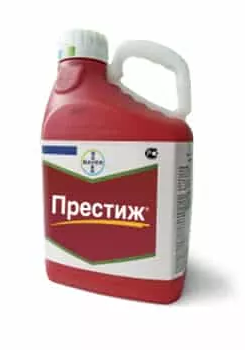 престиж Престиж — изображение 1