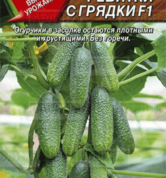 Огурец Ребятки с грядки F1