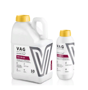 VAG Silver star PK 0-36-24 1л