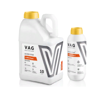 VAG Silver star S800 1л